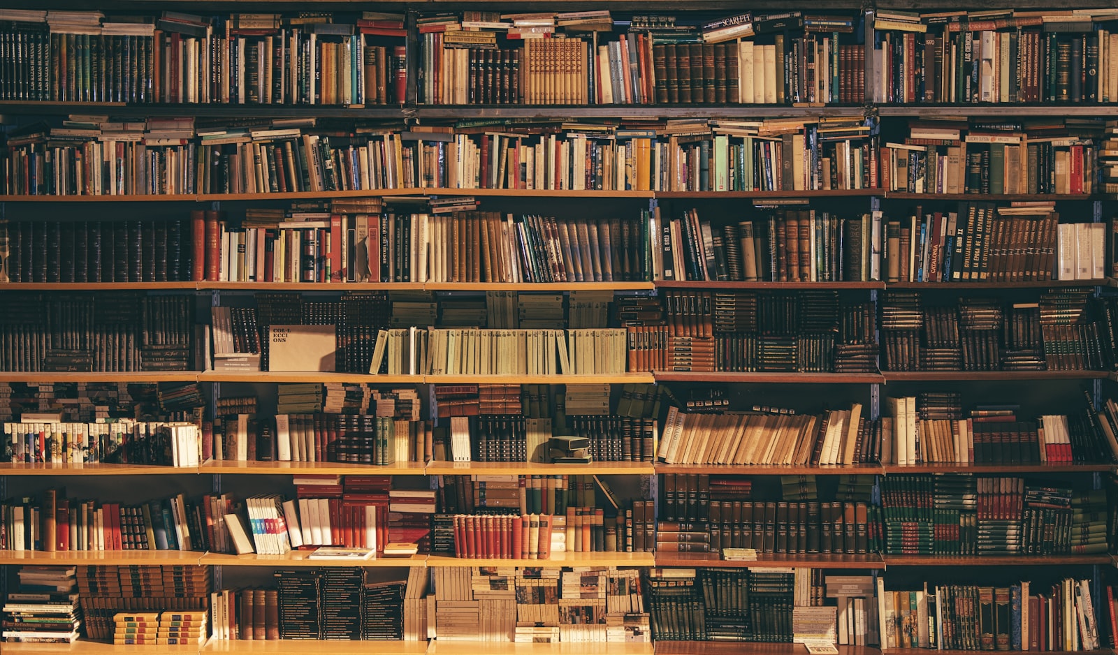 library bookshelf rows of books representing a company knowledge base